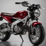 best pocket bike for adults